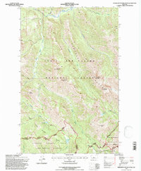 Morningstar Mountain 1995 topographic map thumbnail
