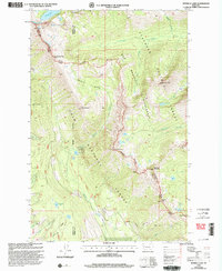 Morrell Lake 1999 topographic map thumbnail