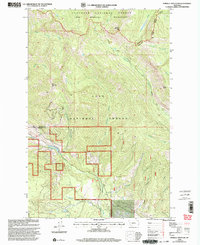 Morrell Mountain 1999 topographic map thumbnail