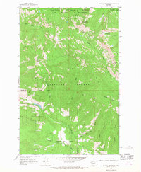 Morrell Mountain 1965 topographic map thumbnail
