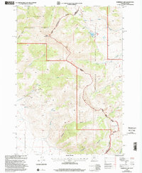 Morrison Lake 1997 topographic map thumbnail