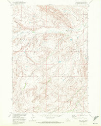 Mott Creek 1969 topographic map thumbnail