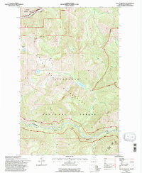 Mount Bradley 1994 topographic map thumbnail