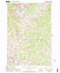 Mount Cowen 1987 topographic map thumbnail