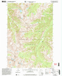 Mount Cowen 2000 topographic map thumbnail
