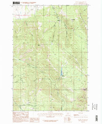 Mount Ellis 1987 topographic map thumbnail
