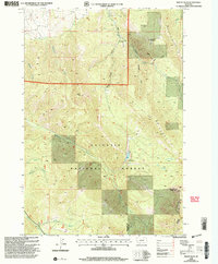 Mount Ellis 2000 topographic map thumbnail