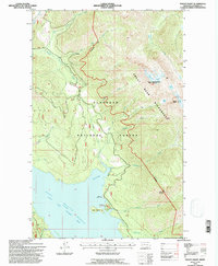 Mount Grant 1994 topographic map thumbnail