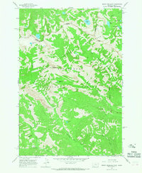 Mount Jerusalem 1964 topographic map thumbnail