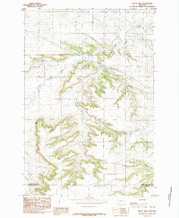 Mount Sinai 1985 topographic map thumbnail