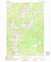 Mount Tahepia 1988 topographic map thumbnail