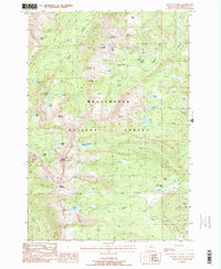 Mount Tahepia 1988 topographic map thumbnail