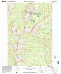 Mount Tahepia 1997 topographic map thumbnail