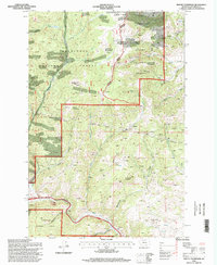 Mount Thompson 1996 topographic map thumbnail