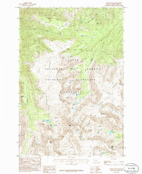 Mount Wood 1986 topographic map thumbnail