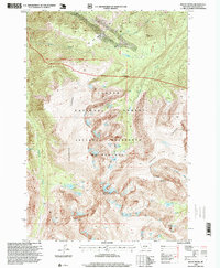 Mount Wood 1996 topographic map thumbnail