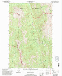Mount Wright 1995 topographic map thumbnail