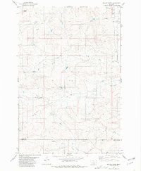 Nelson Butte 1981 topographic map thumbnail