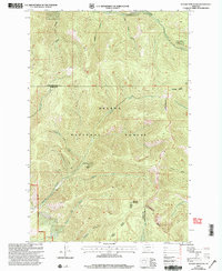 Nevada Mountain 2001 topographic map thumbnail