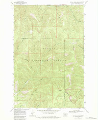 Nevada Mountain 1968 topographic map thumbnail
