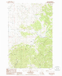 New Year 1985 topographic map thumbnail