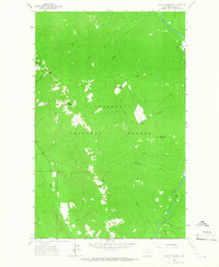 Newton Mountain 1963 topographic map thumbnail