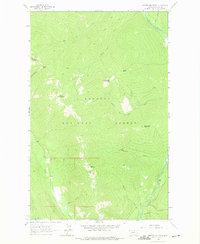 Newton Mountain 1963 topographic map thumbnail
