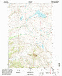 Nilan Reservoir 1995 topographic map thumbnail