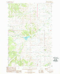 Nirling Hill 1989 topographic map thumbnail