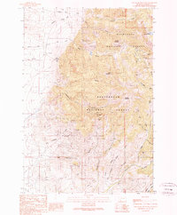 Old Baldy Mountain 1989 topographic map thumbnail
