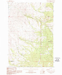 Orofino Mountain 1989 topographic map thumbnail