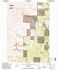 Orofino Mountain 1996 topographic map thumbnail