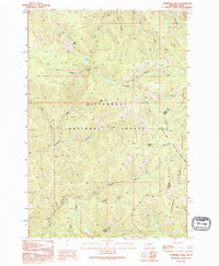 Overwhich Falls 1991 topographic map thumbnail