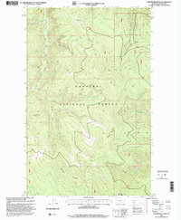 Parsnip Mountain 1997 topographic map thumbnail