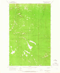 Parsnip Mountain 1963 topographic map thumbnail