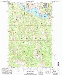 Patricks Basin 1995 topographic map thumbnail