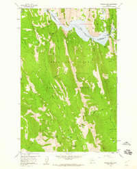 Patricks Basin 1958 topographic map thumbnail