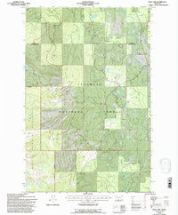 Peck Lake 1994 topographic map thumbnail