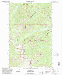 Pentagon Mountain 1994 topographic map thumbnail