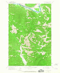 Petty Mountain 1964 topographic map thumbnail