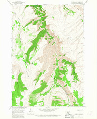 Peyote Point 1964 topographic map thumbnail