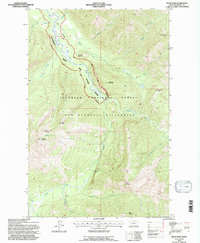 Pilot Peak 1994 topographic map thumbnail