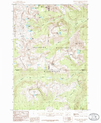 Pinnacle Mountain 1986 topographic map thumbnail