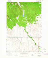Pintlar Lake topographic map thumbnail