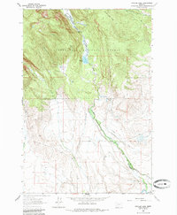 Pintler Lake 1962 topographic map thumbnail