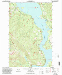 Pioneer Ridge 1994 topographic map thumbnail