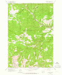 Pipestone Pass 1963 topographic map thumbnail