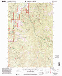 Piquett Creek 1998 topographic map thumbnail