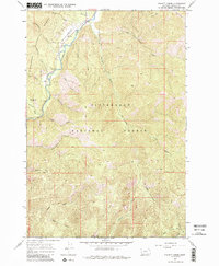 Piquett Creek 1964 topographic map thumbnail