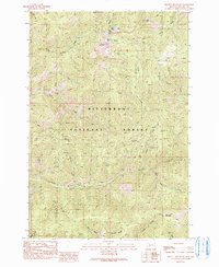 Piquett Mountain 1991 topographic map thumbnail